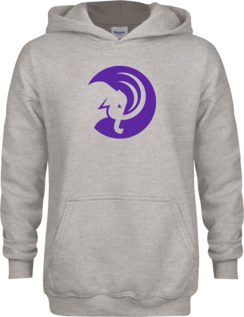 Amherst College Youth Fleece Hood Amherst College Circle Mammoth - ONLINE ONLY