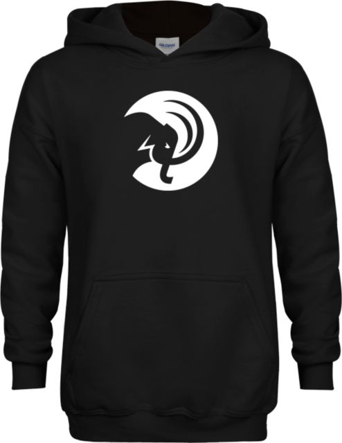 Amherst College Youth Fleece Hoodie Amherst College Circle Mammoth - ONLINE ONLY