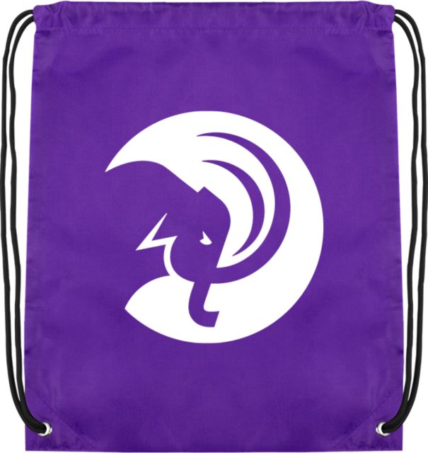 Amherst College Drawstring Backpack Amherst College Circle Mammoth - ONLINE ONLY