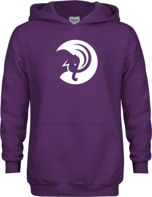Amherst College Youth Fleece Hoodie Amherst College Circle Mammoth - ONLINE ONLY