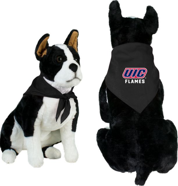 UIC Pet Bandana UIC Flames Vertical- ONLINE ONLY