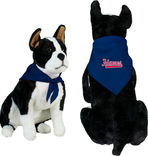 UIC Pet Bandana Flames Script- ONLINE ONLY