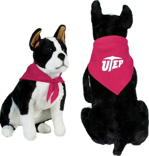 UTEP Fuchsia Pet Bandana Primary University Mark - ONLINE ONLY