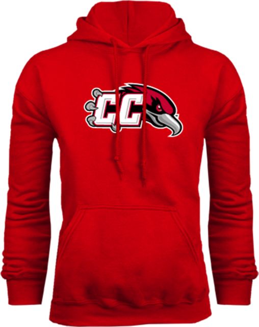 Casper Fleece Hoodie CC with Thunderbird - ONLINE ONLY