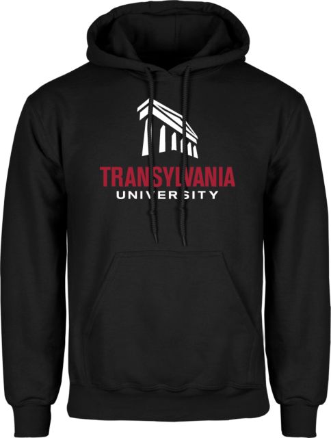 Transylvania Fleece Hoodie Primary Institutional Mark - ONLINE ONLY