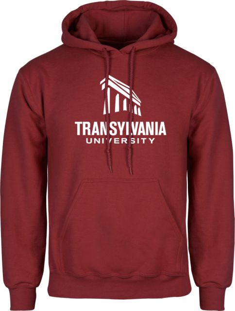 Transylvania Fleece Hoodie Primary Institutional Mark - ONLINE ONLY