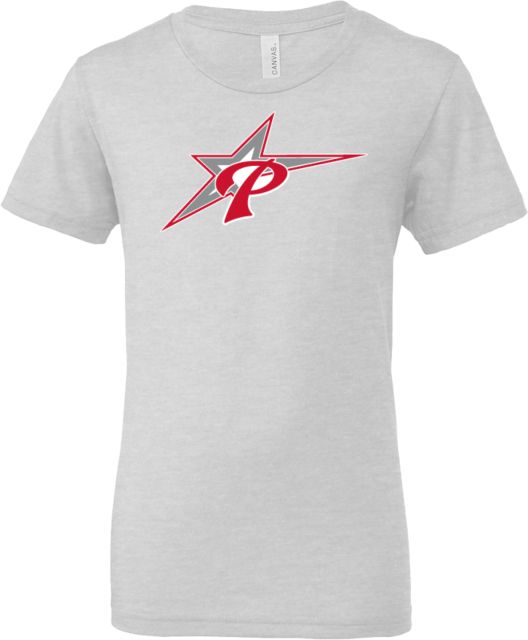 Palomar Bella + Canvas Youth Ash Jersey T Shirt Palomar College Comets Icon - ONLINE ONLY
