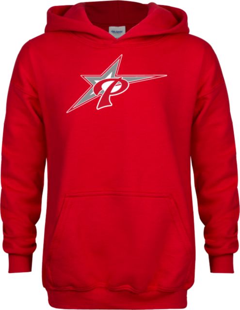 Palomar Youth Fleece Hoodie Palomar College Comets Icon - ONLINE ONLY