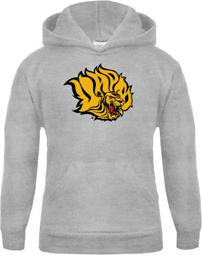 Arkansas Pine Bluff Youth Fleece Hood Golden Lion Head - ONLINE ONLY