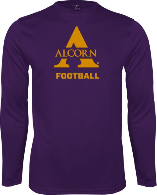 Youth Champion Purple Alcorn State Braves Jersey Long Sleeve T-Shirt