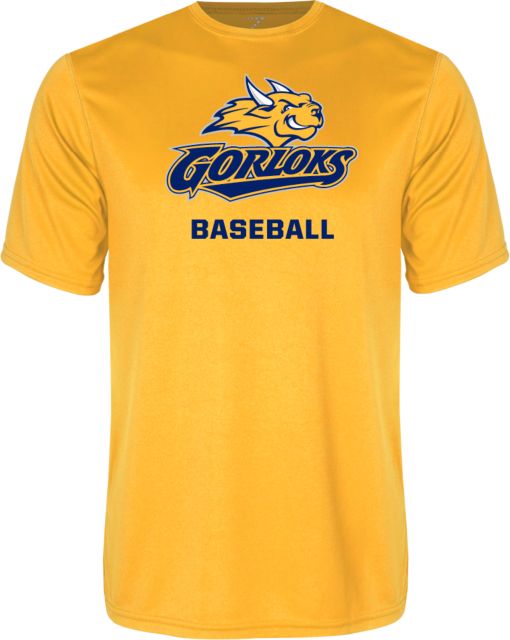 Webster Performance Tee Baseball - ONLINE ONLY