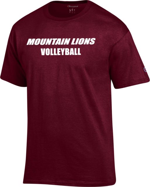 Concord University Mountain Lions Dri-Fit Legend Short Sleeve T-Shirt