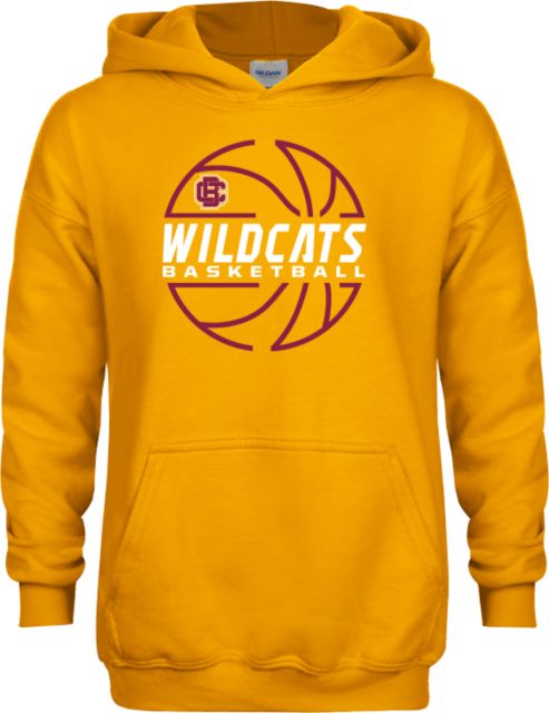 Bethune Cookman Youth Fleece Hoodie Basketball In Ball Design - ONLINE ONLY