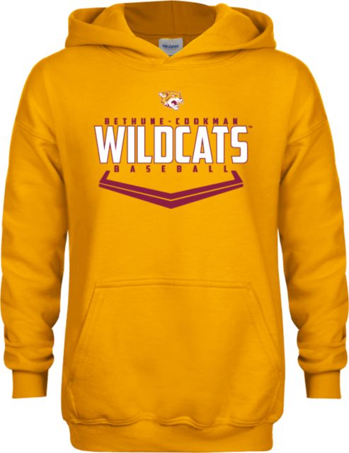 Bethune Cookman Youth Fleece Hoodie Baseball Abstract Plate Design - ONLINE ONLY