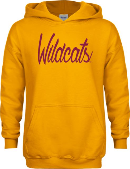 Bethune Cookman Youth Fleece Hoodie Wildcats Script - ONLINE ONLY