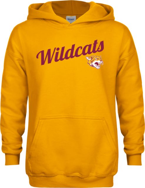 Bethune Cookman Youth Fleece Hoodie Wildcats w/Mascot - ONLINE ONLY