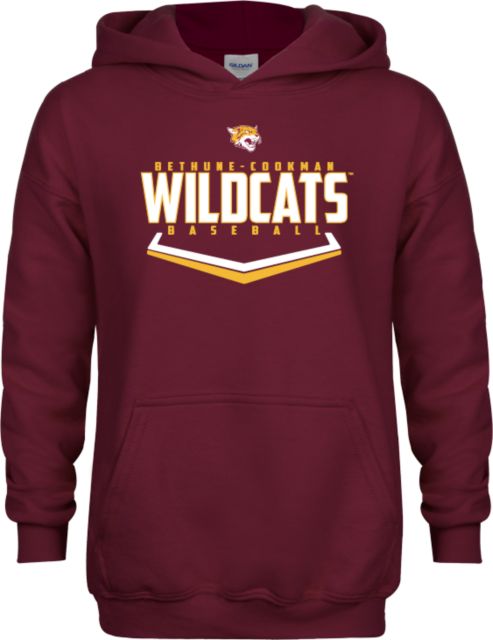 Bethune Cookman Youth Fleece Hoodie Baseball Abstract Plate Design - ONLINE ONLY