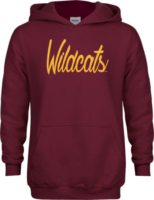 Bethune Cookman Youth Fleece Hoodie Wildcats Script - ONLINE ONLY