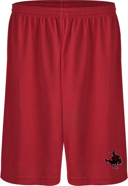 Northwestern OK Performance Classic 9 Inch Short Primary Mark - ONLINE ONLY