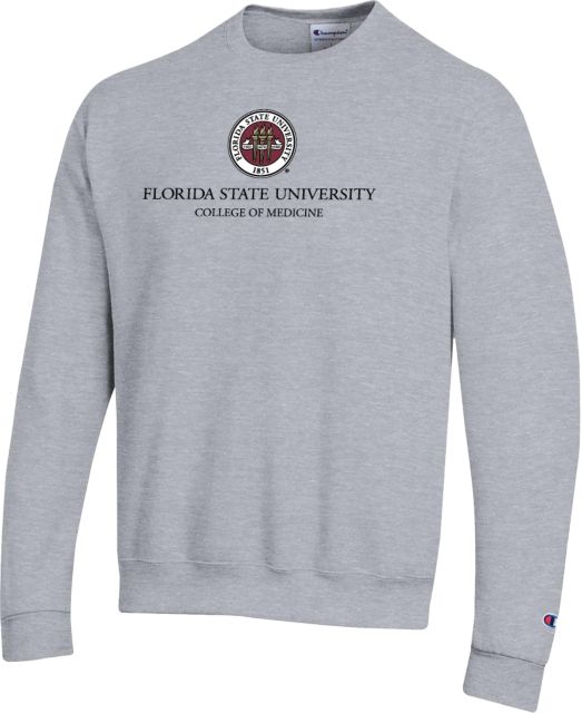 Fsu champion sweatshirt best sale