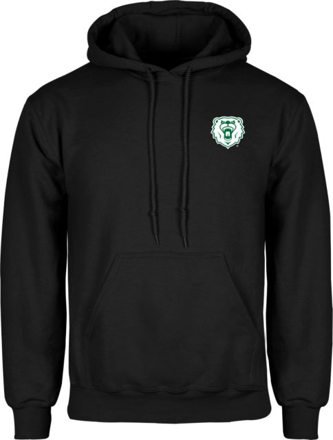 Wisconsin Parkside Fleece Hoodie Athletic Bear Head - ONLINE ONLY