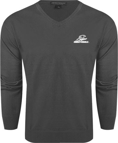 Embry Riddle Classic Mens V Neck Sweater Primary Mark - ONLINE ONLY
