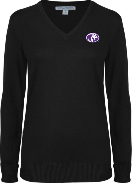 North Alabama Womens VNeck Sweater Roaring Lion Icon - ONLINE ONLY