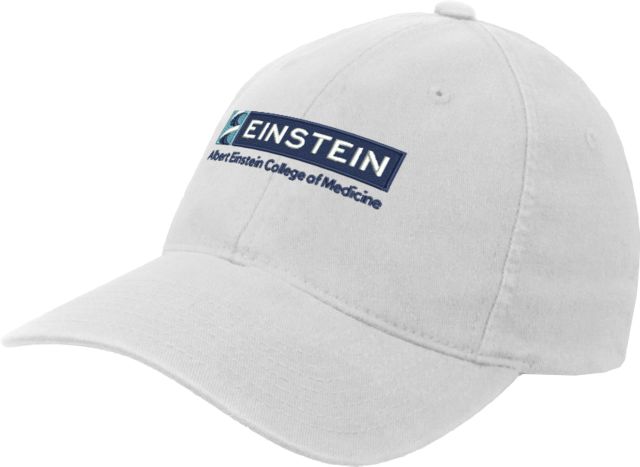 Albert Einstein Flexfit Structured Low Profile Hat Einstein Logo - ONLINE ONLY