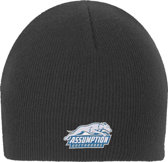 Assumption Knit Beanie Assumption University Greyhound Logo - ONLINE ONLY