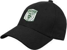Wisconsin Parkside Black Struc