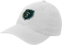 Wisconsin Parkside White Flexf