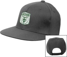 Wisconsin Parkside Charcoal Fl