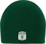 Wisconsin Parkside Dark Green