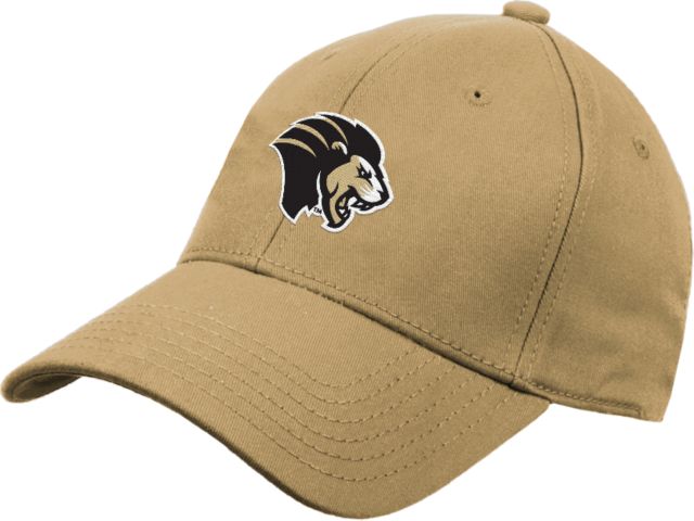 Purdue Northwest Structured Adjustable Pro Style Hat Mascot Head - ONLINE ONLY