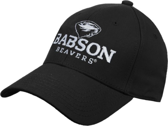 Babson Heavyweight Twill Pro Style Hat Primary Mark - ONLINE ONLY