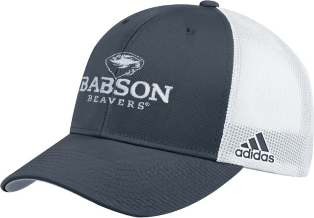 Babson Adidas Structured Adjustable Hat Primary Mark - ONLINE ONLY
