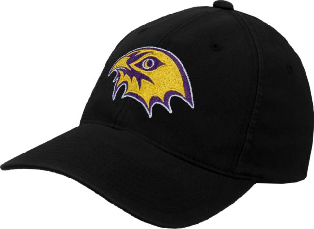 CC Denver Flexfit Structured Low Profile Hat CityHawks Head