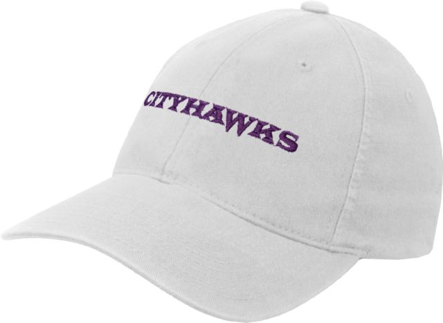 CC Denver Flexfit Structured Low Profile Hat CityHawks