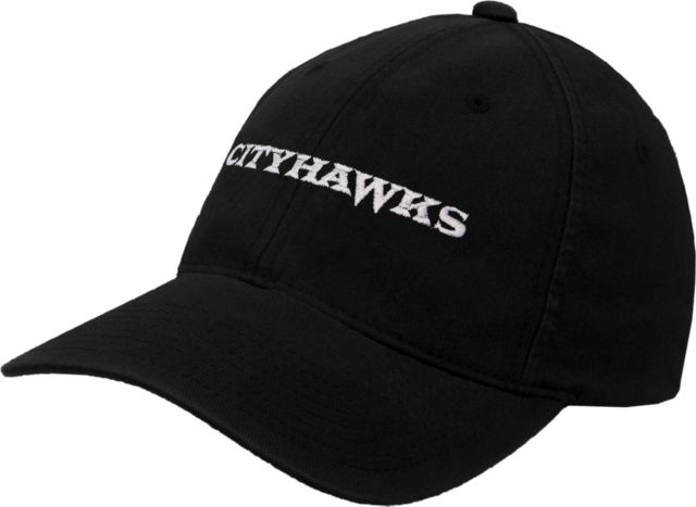 CC Denver Flexfit Structured Low Profile Hat CityHawks