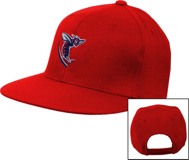 Shenandoah Flat Bill Snapback Hat Hornet - ONLINE ONLY