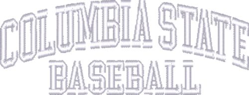 Columbia State CC Structured Adjustable Pro Style Hat Columbia State Baseball - ONLINE ONLY