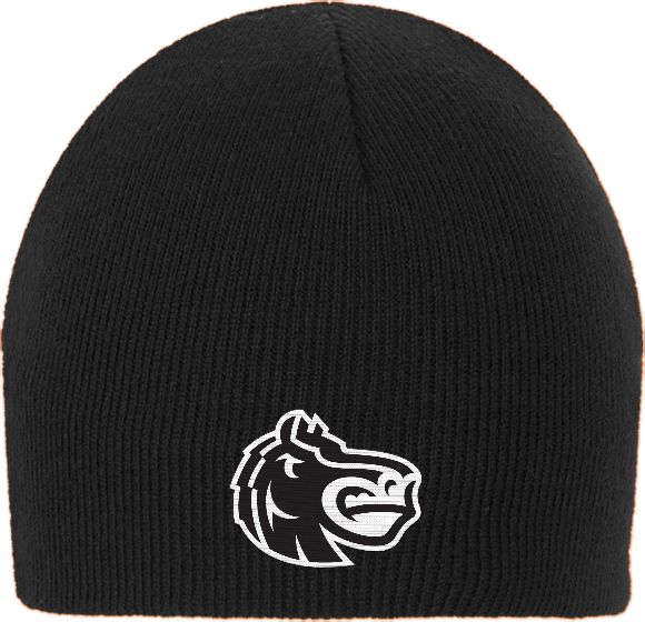 FDU Knights Knit Beanie Fairleigh Knightro Head - ONLINE ONLY