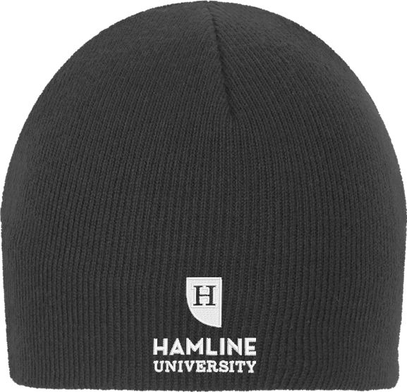 Hamline Knit Beanie Primary - ONLINE ONLY