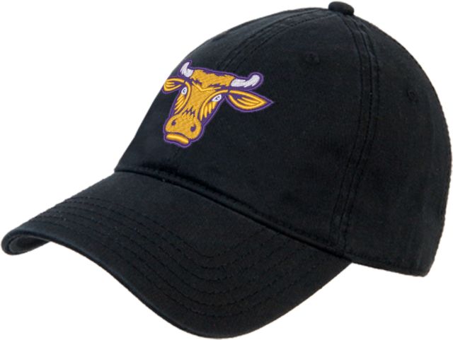 Williams College Unstructured Adjustable Low Profile Hat Ephelia Head - ONLINE ONLY