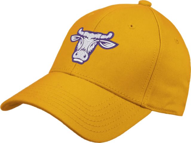 Williams College Structured Adjustable Pro Style Hat Ephelia Head - ONLINE ONLY