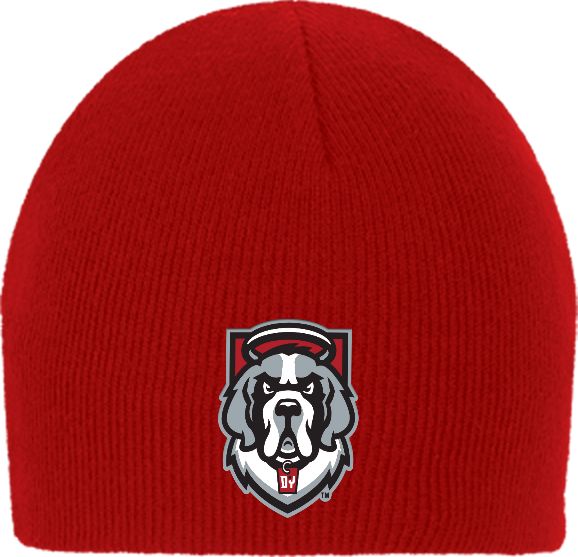 D Youville Knit Beanie D Youville Athletics Mascot