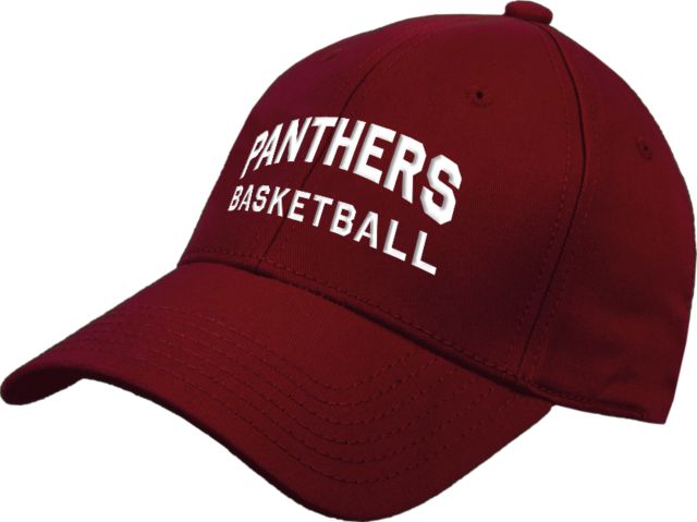 Virginia CC System Cardinal Structured Adjustable Pro Style Hat Basketball - SVCC Panthers - ONLINE ONLY
