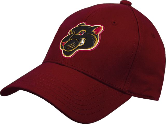 Virginia CC System Cardinal Structured Adjustable Pro Style Hat Southside Virginia Community College Mascot - ONLINE ONLY