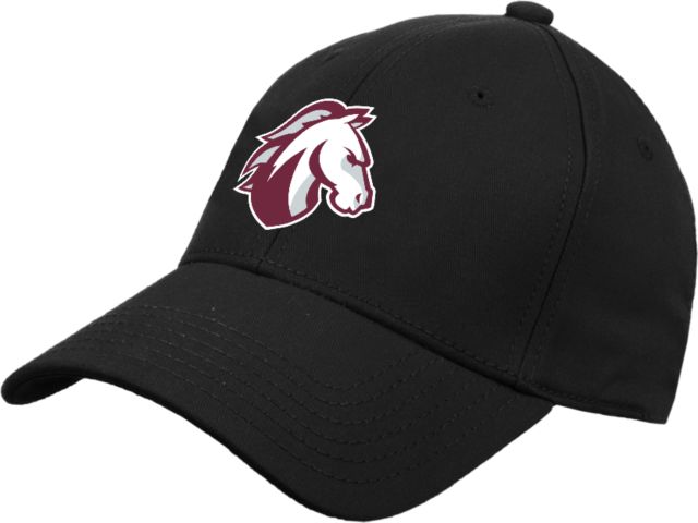 Evangel Structured Adjustable Pro Style Hat Evangel Valor Horse - ONLINE ONLY