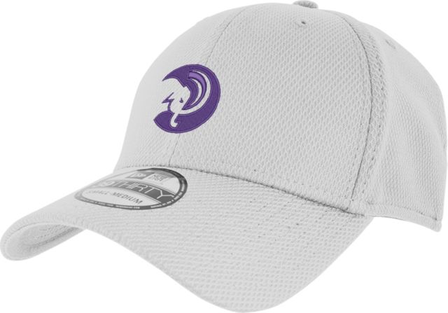 Amherst College New Era Diamond Era 39Thirty Stretch Fit Hat
